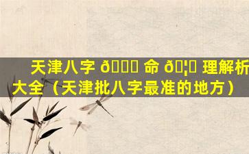 天津八字 🐘 命 🦆 理解析大全（天津批八字最准的地方）
